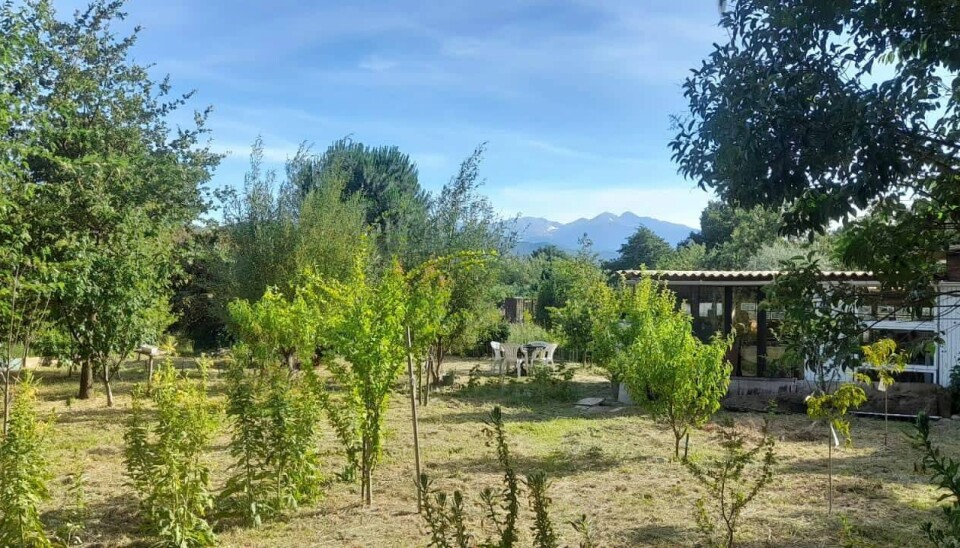Sunlit garden with young plants, trees, a low building and mountains in the background